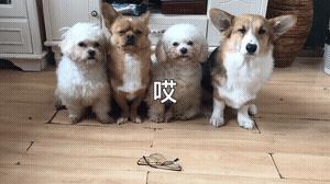 这些手段真的，太老套了