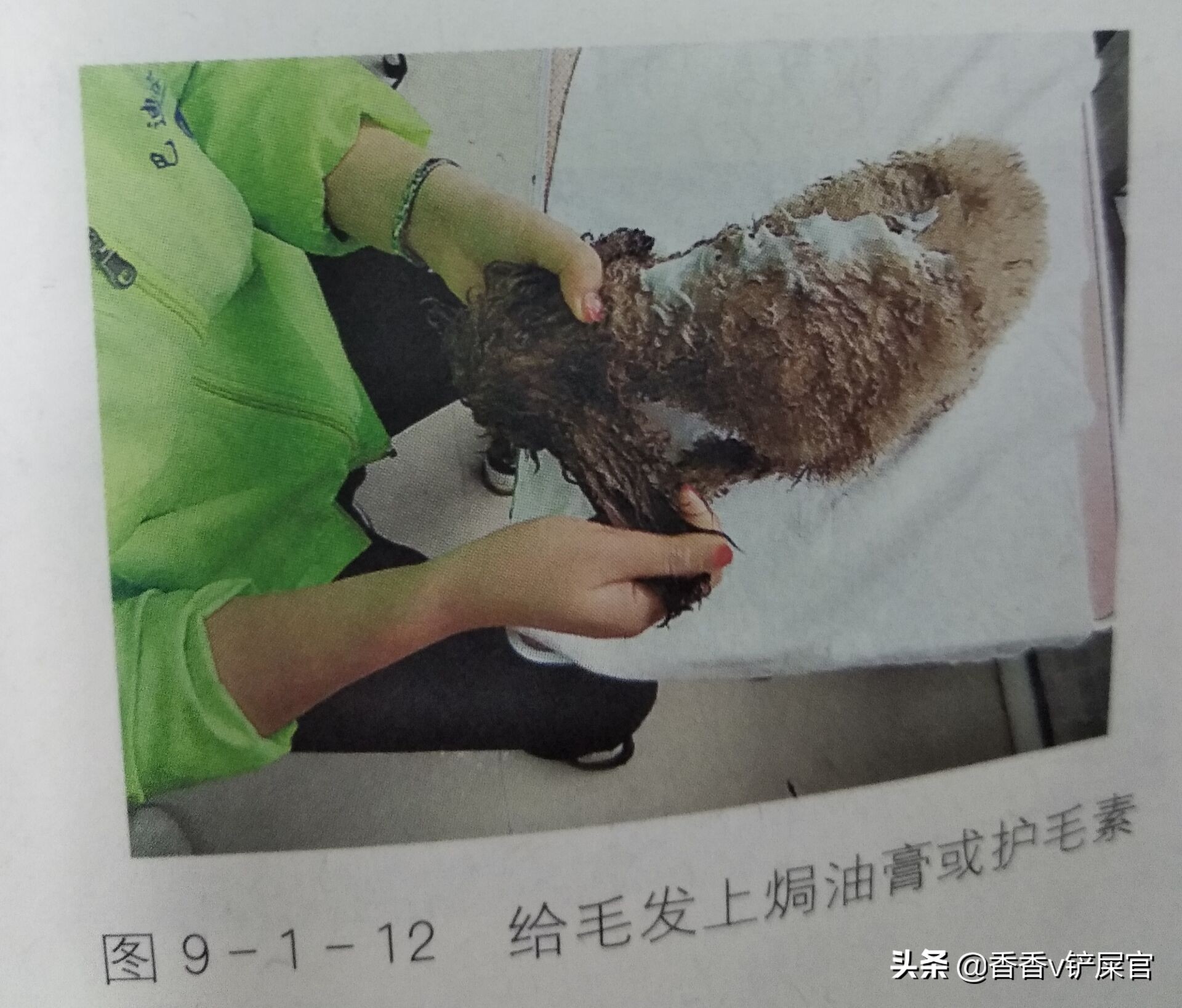 怎么给宠物做spa药浴,宠物spa需要准备什么