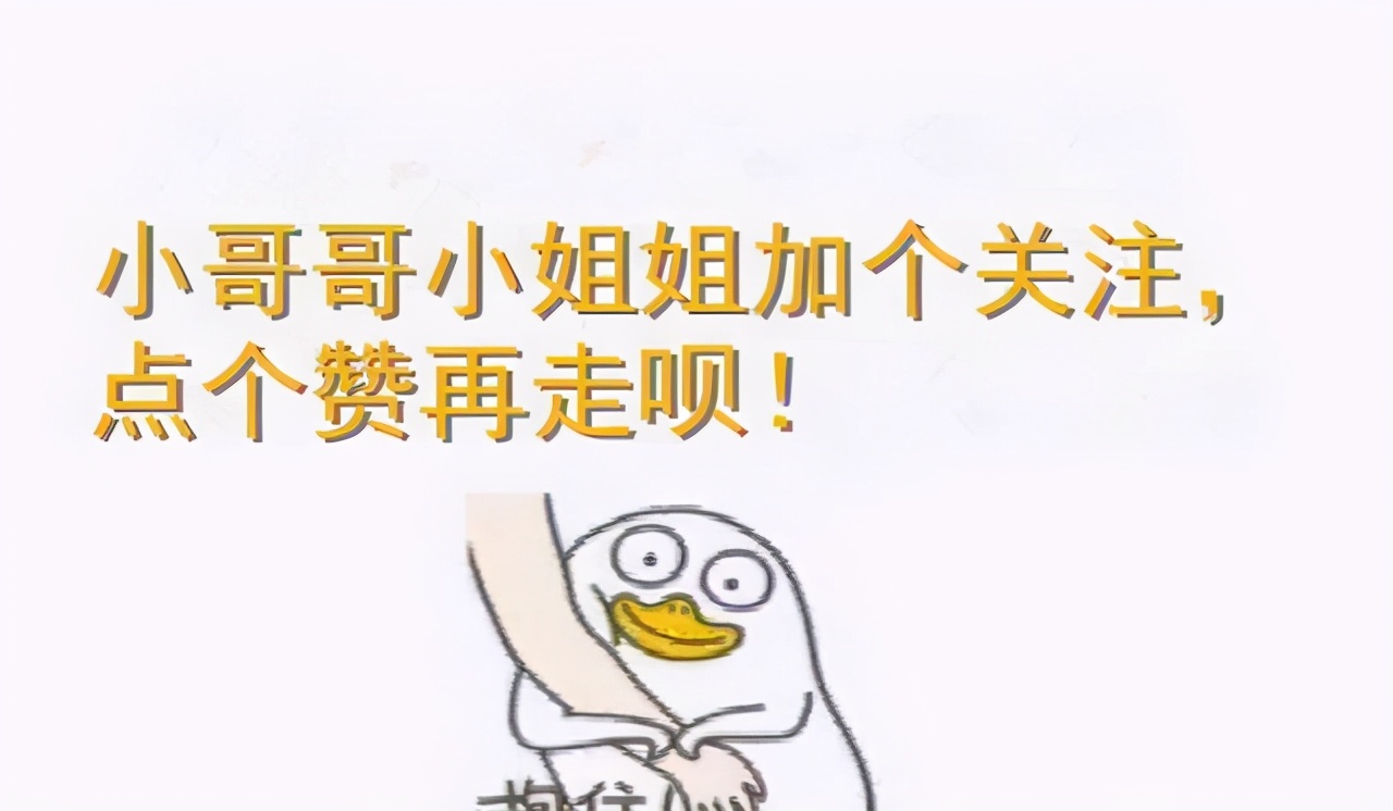 猫咪总是半夜叫主人起床怎么办,猫咪半夜老是叫要不要搭理他