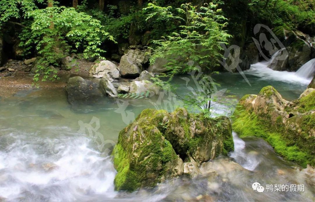 自驾车游遍中国之（一）——世界那么大，我想去神农架