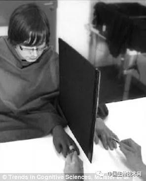 欺骗大脑假手实验完整版沉浸式,欺骗大脑的假手实验国外