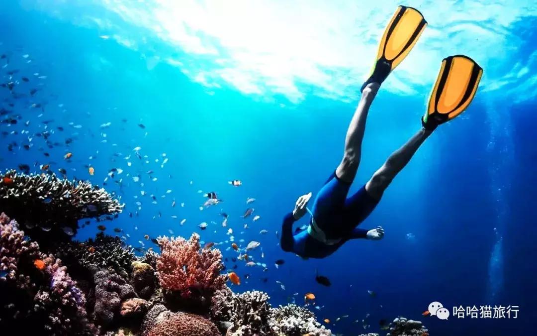 马来西亚落地免签,马来西亚落地签最新入境政策