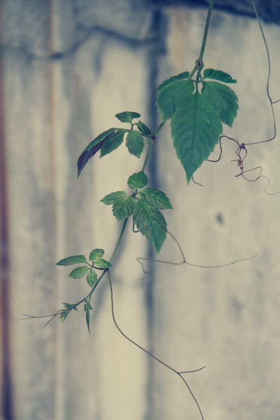 比60d高端的相机,60d单反相机价格