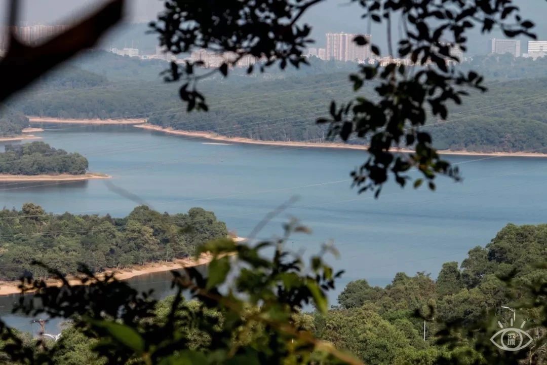 放假在深圳能去哪里玩,放假了可以去深圳的哪些地方玩