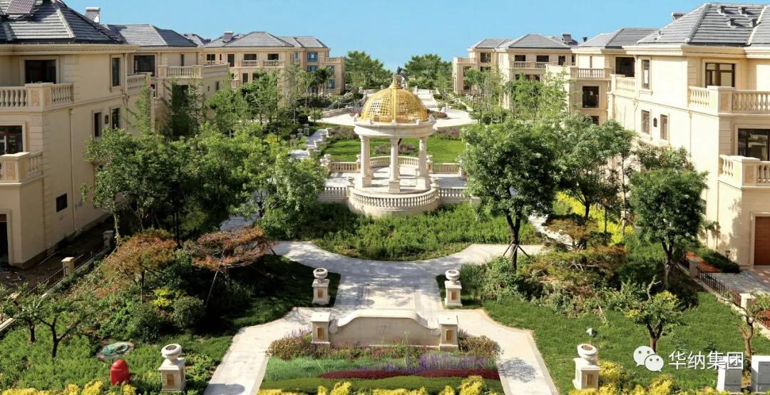 涓滆惀鍗庣撼闆嗗洟楂樺崥,鍗庣撼闆嗗洟楂樺崥鐜扮姸