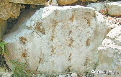 浩锅带你看*物文**------世界上最独特的文字女书