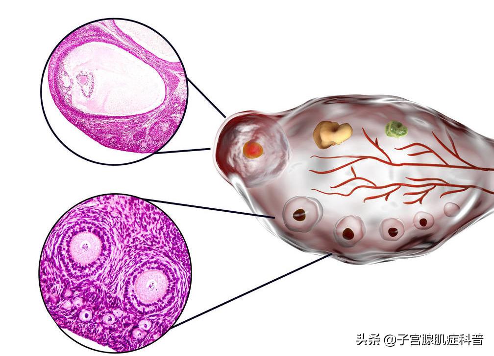 子宫对女性的六种用途,子宫对全身有哪些影响
