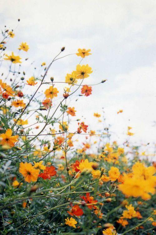 鼓励自己努力的语句励志,积极努力励志的说说简短