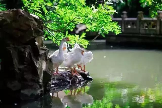 兰亭书法开幕,36届兰亭书法节