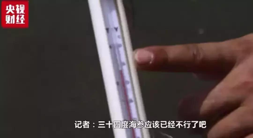 2019年地球进入小冰期,地球是大灾大难还是地球末日