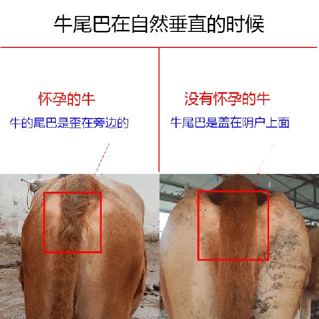 六看六查对照检查材料,六审六看