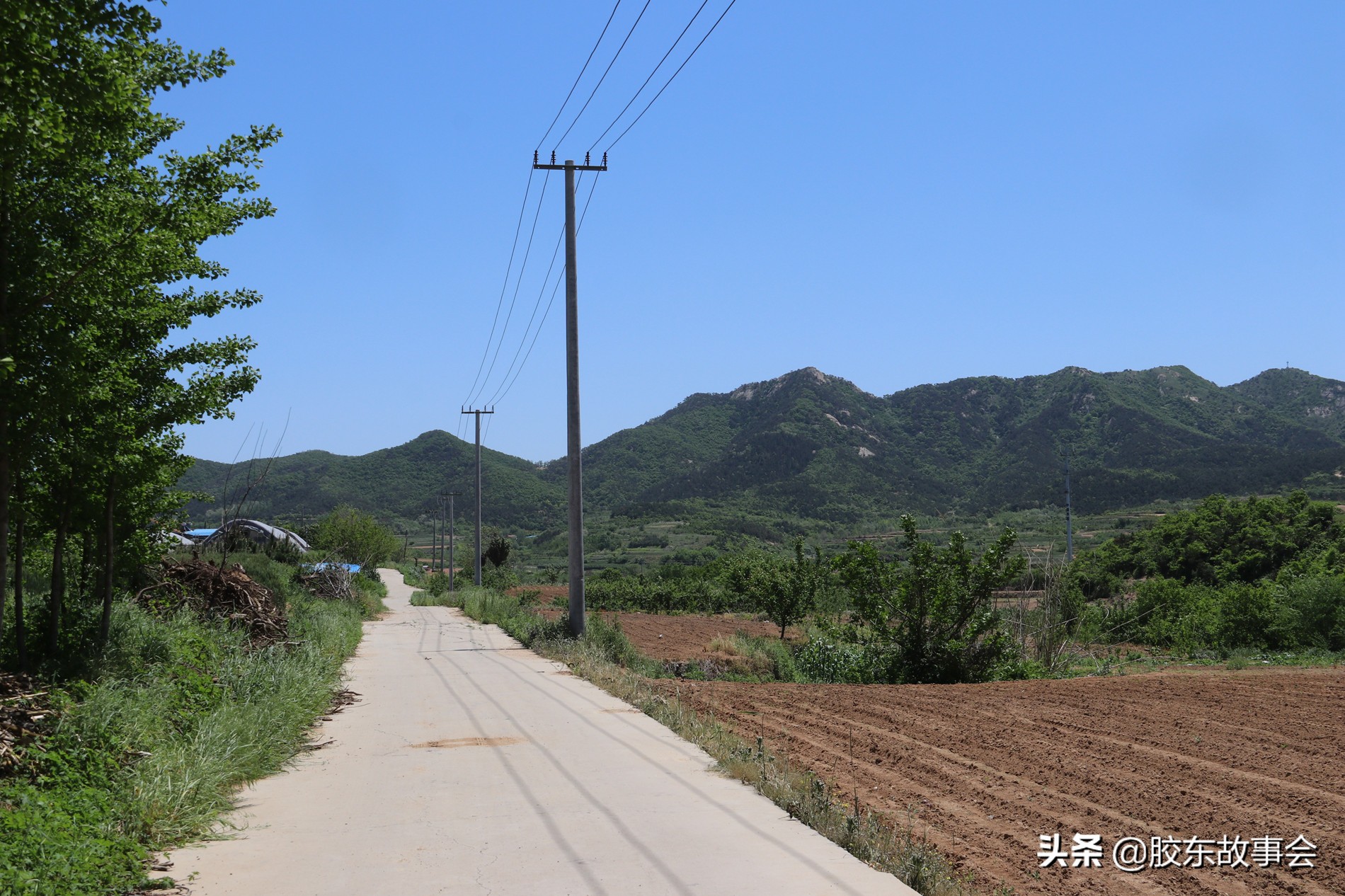 威海的文登区,山东省文登都有哪几个村