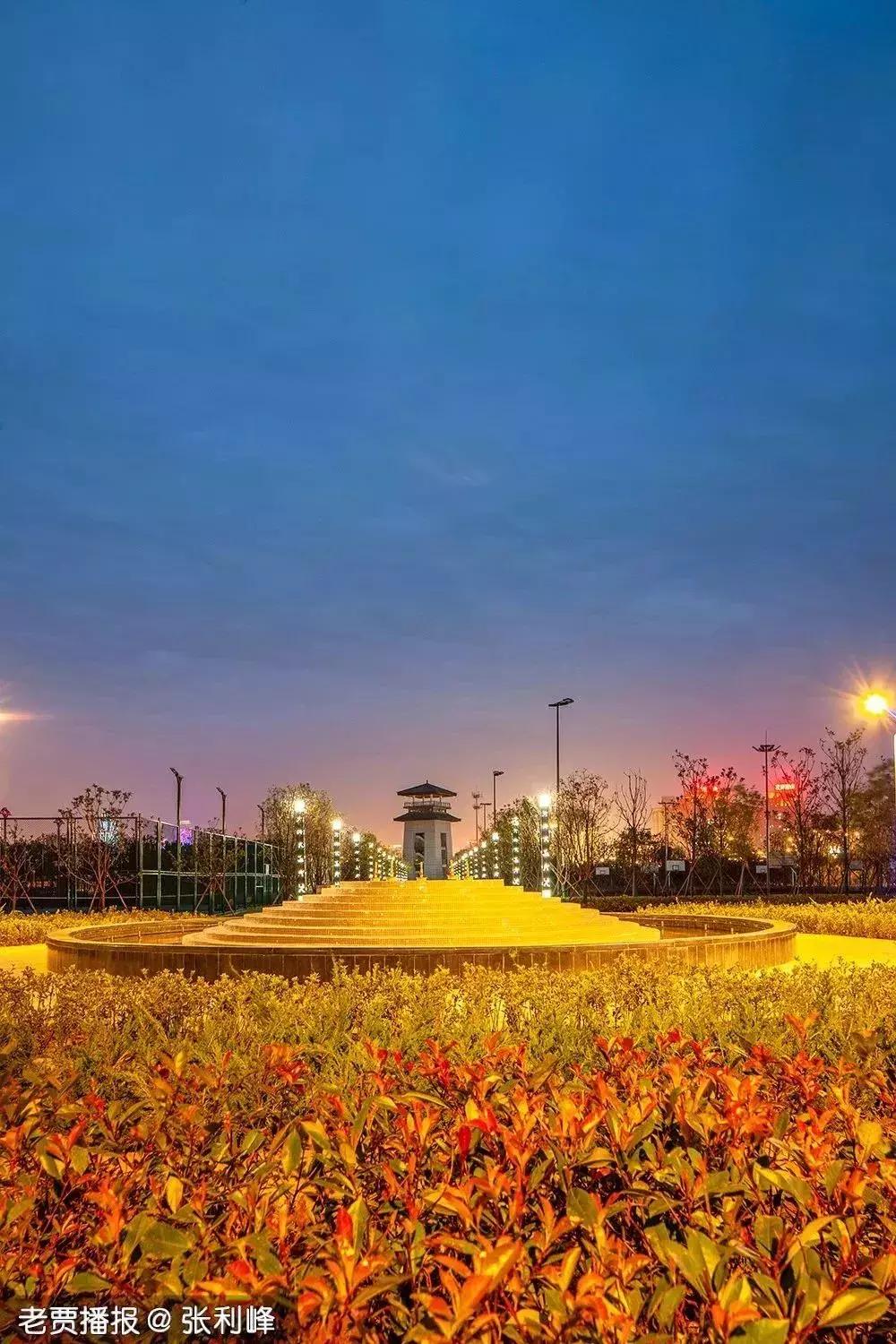 洛阳适合休息的公园,洛阳免费公园景点大全