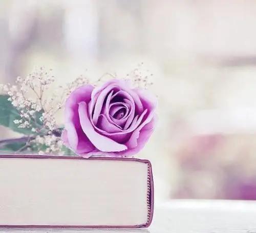 愿一切美好都不期而遇早安图片,早安总有不期而遇的意外惊喜