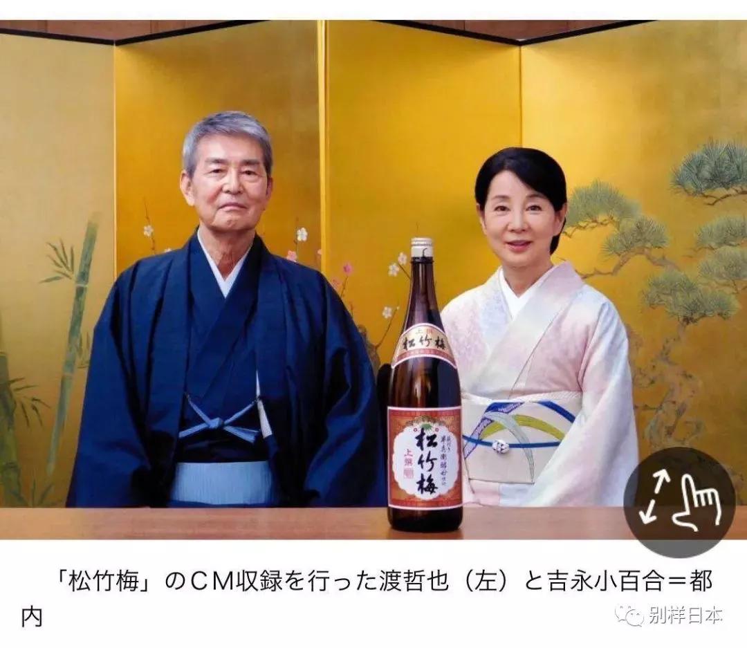 日本渡哲也,渡哲也秀吉