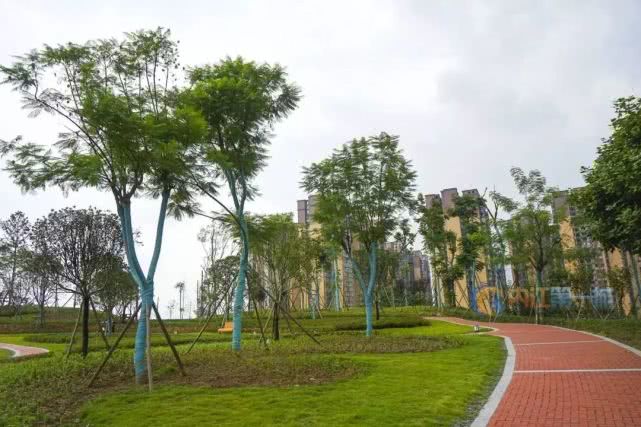 内江未来的发展,内江翻天覆地的变化