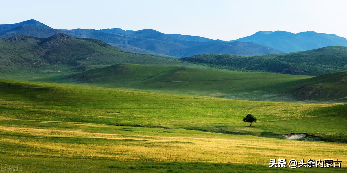 内蒙古黄牛之乡新闻,黄牛之乡科尔沁