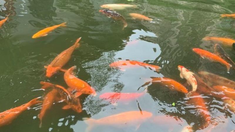 广东佛山最大的牌坊,到佛山不要错过这八个景点