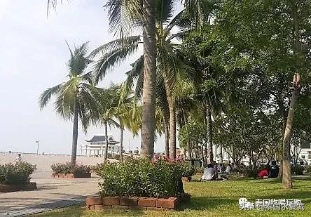 芭提雅海滩海鲜推荐,芭提雅lanpho海鲜市场