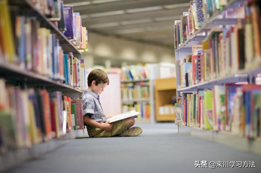 阅读理解初学者入门,阅读理解难题解决方法