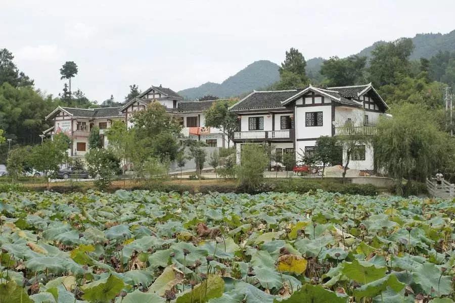 遵义书记龙长春罹患癌症,卸任感慨万千,最遗憾脱贫攻坚未告捷