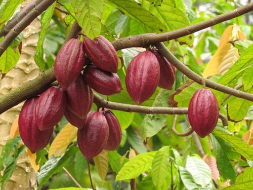 皮肤衰老怎样做抗衰,除皱抗衰哪种方法更适合你呢