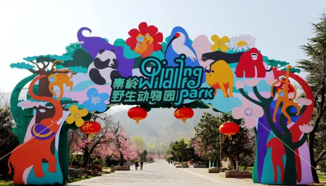 西安旅游全攻略现在的西安人多不,西安人的西安旅游攻略图片