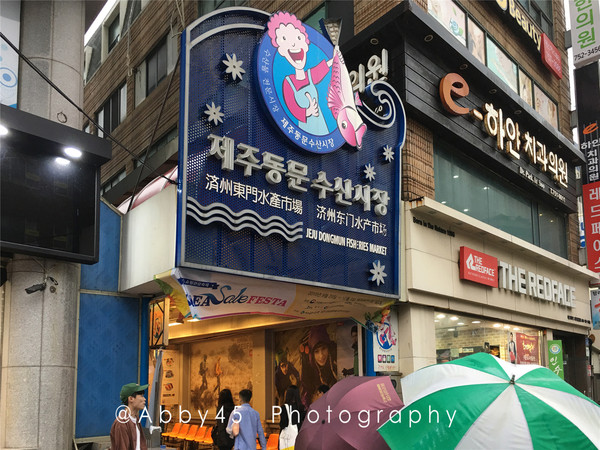 韩国一杯咖啡钱飞济州岛，疫情尚未结束，不如先云游济州岛