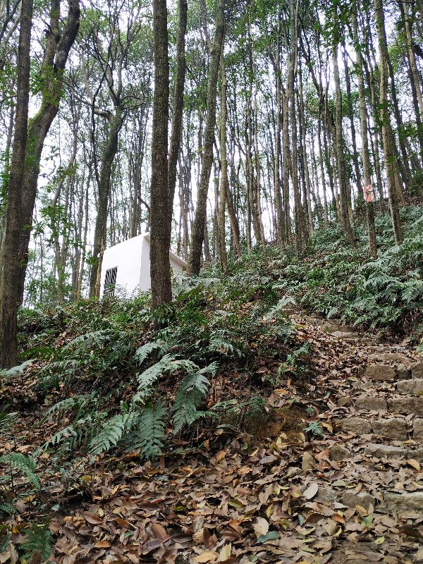 杭州市周末自驾游去哪里好玩,杭州出发周末旅游攻略
