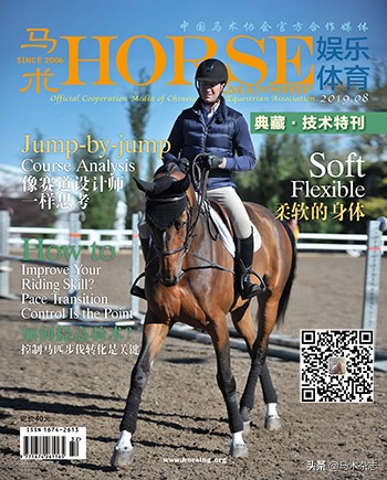 一岁不到的小马驹怎么训练,如果你有一匹出色的马你会怎么样