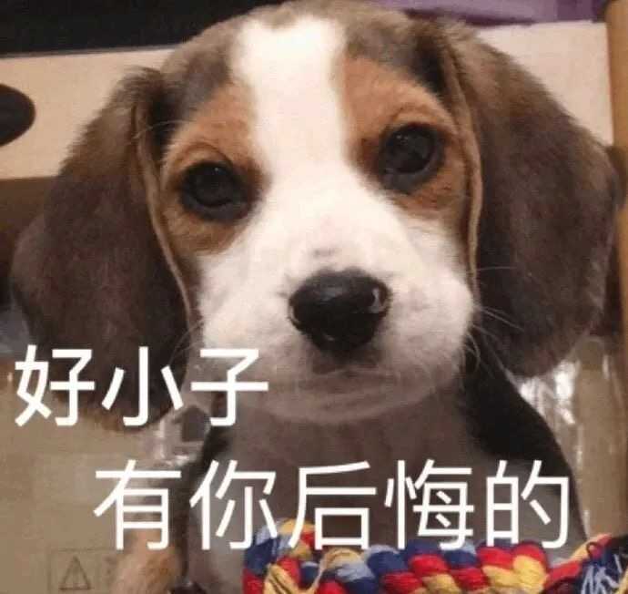 稳居c位的文案,稳居c位的沙雕文案