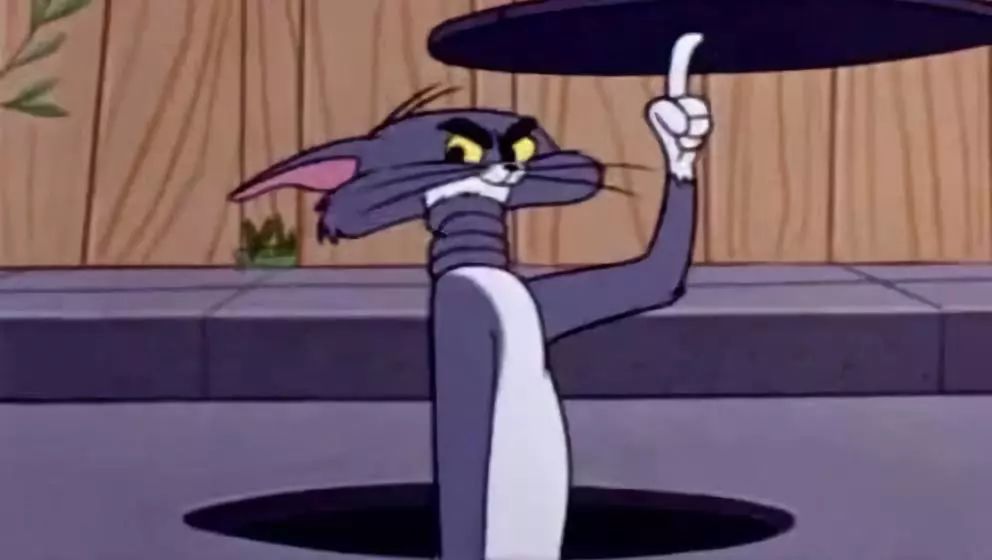 墨西哥人偷渡到美国会被遣返吗,从墨西哥偷渡美国遣返几率