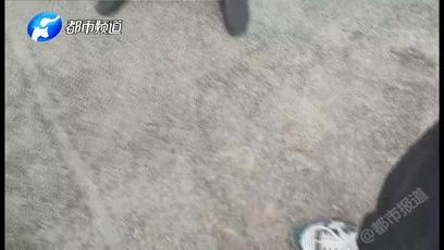 僵尸围挡如何防止死灰复燃,僵尸围墙