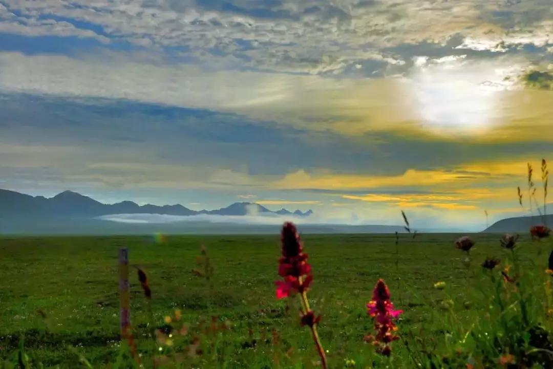 描写甘肃的爆火文章,一篇文章了解甘肃