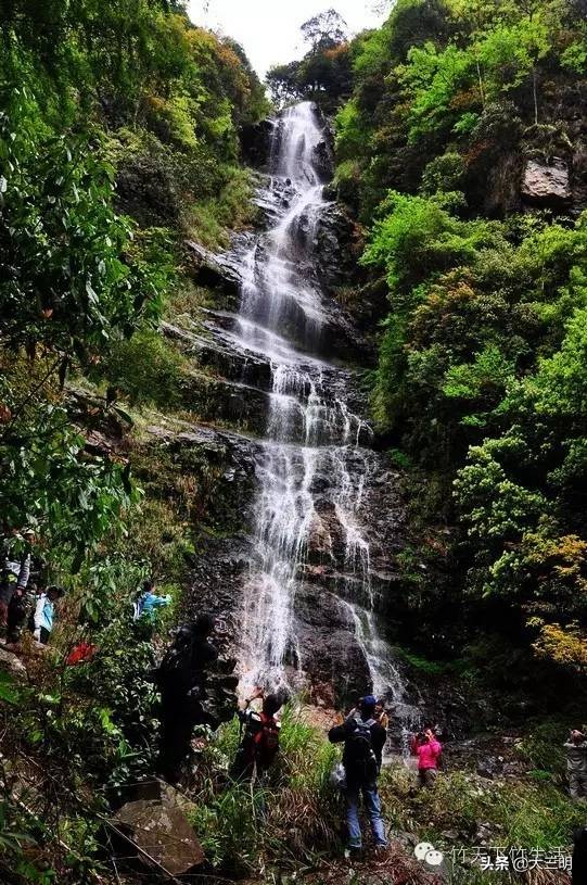 中国绿都最氧三明春回大地,大武夷旅游绿都三明