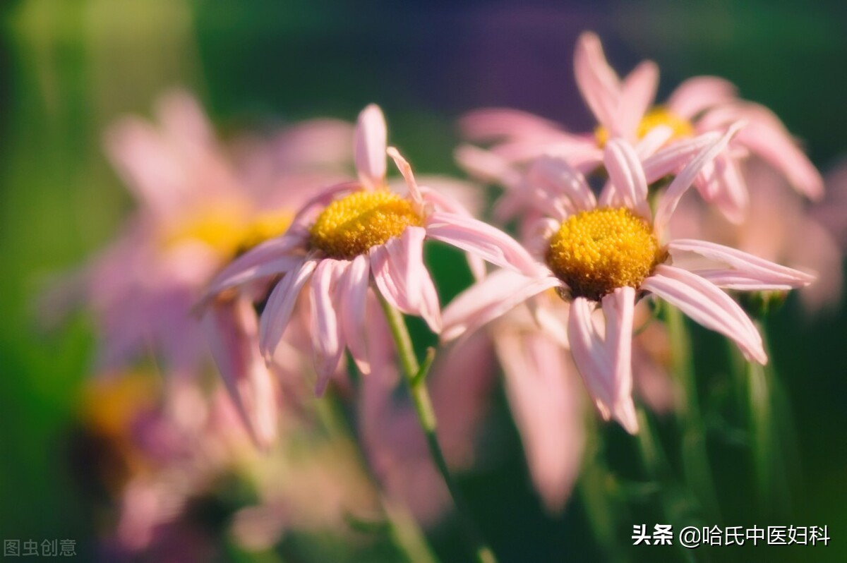 35岁停经原因有哪些,35岁停经症状有哪些