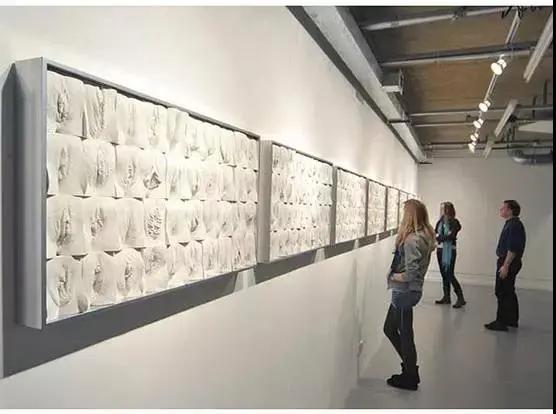 蝴蝶不对称？你会去做整形吗？