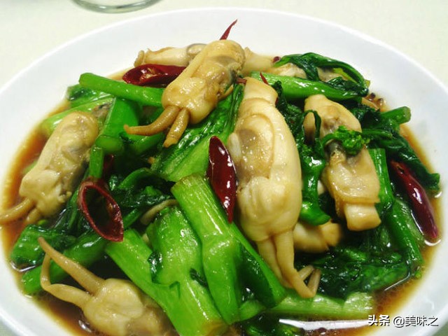 脆嫩菜心怎么种植,青菜怎么炒好吃又简单的做法大全