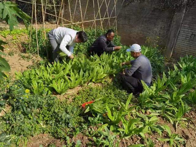 第三服务队,选取企业与服务队共同走访