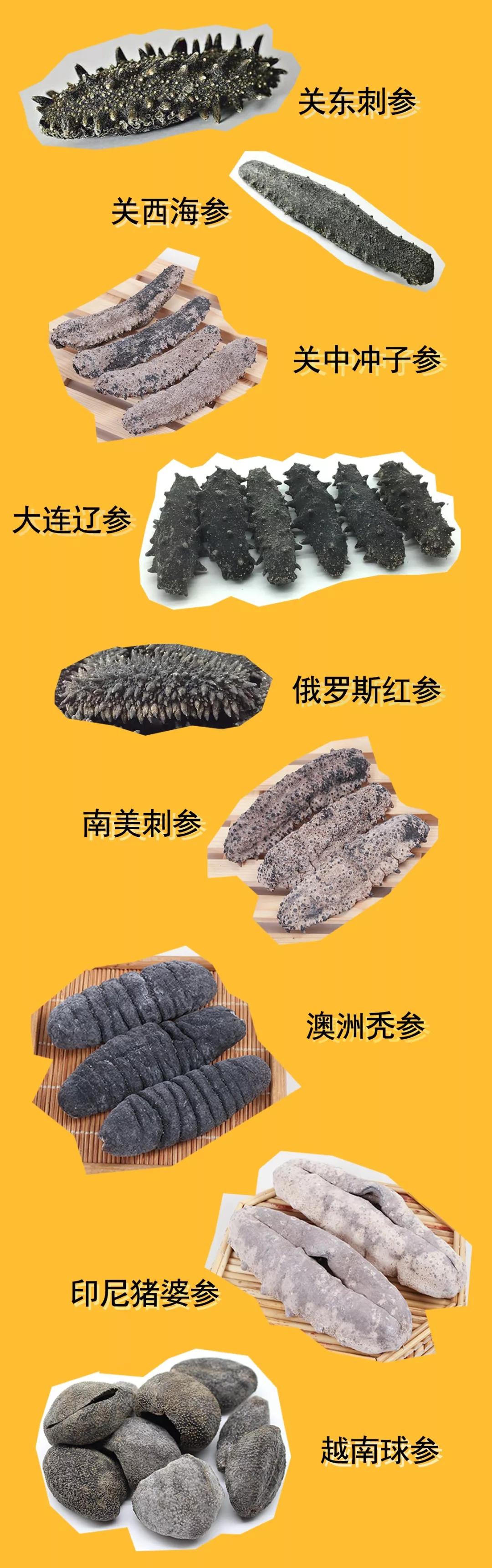 海参是北极参好还是辽参好,海参刺参光参