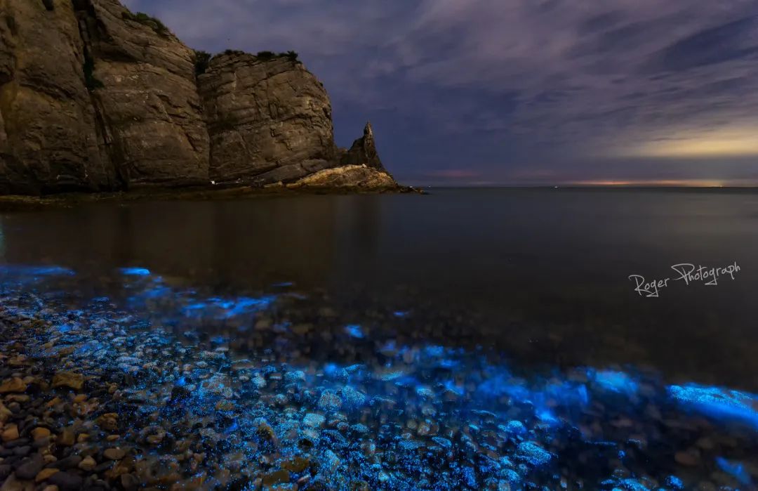 想去大连了,还有人想去大连吗