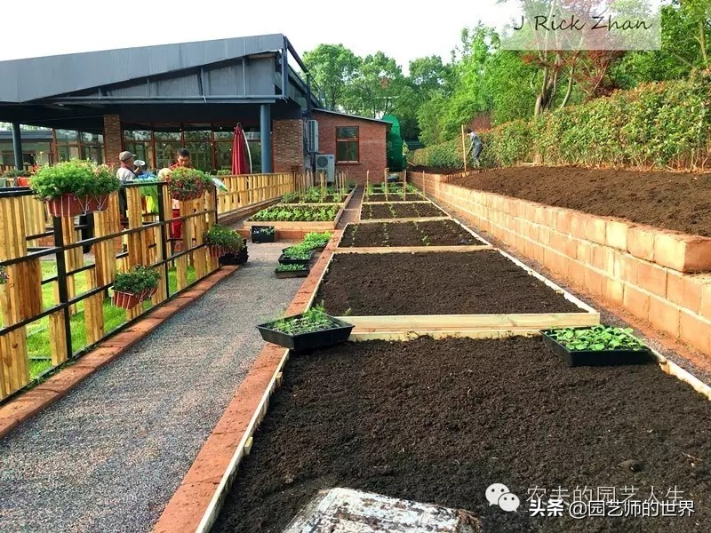 城市蔬菜园景观设计,蔬菜花园造型