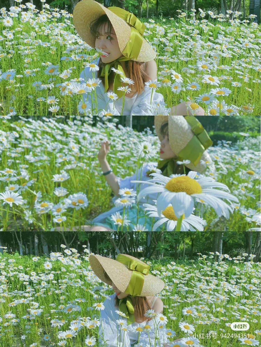 私藏拍照最好的地方,天津适合拍照又安静的地方