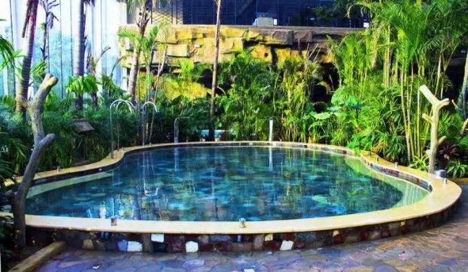 常泡温泉可以排出体内毒素吗,泡温泉可以排出血液里的毒素吗