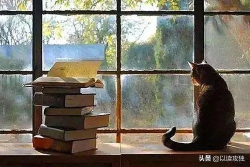 明天和意外,不知谁先来:应对不确定危机,做一个“高韧性”的人