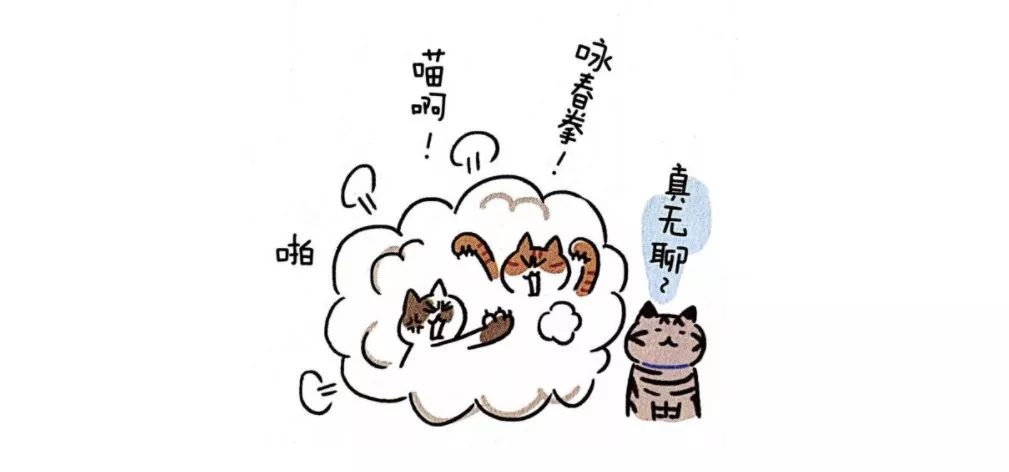 养猫必备猫咪绝育全攻略,新手养猫绝育攻略