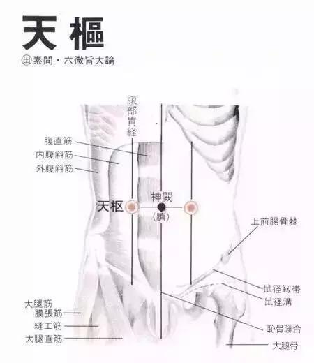 乳腺增生是乳腺纤维瘤的征兆吗,乳腺增生癌变怎么办