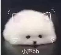 手帐的十大问题,盘点新手入门手帐容易踩的坑