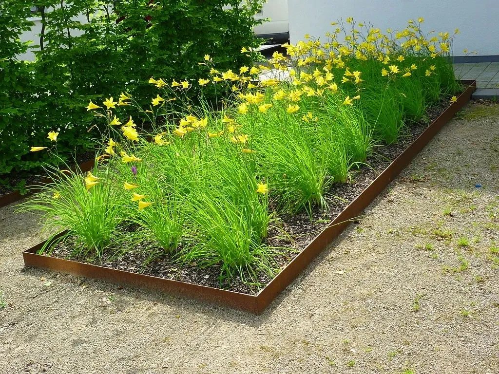 中国的母亲花是哪种,中国的母亲花是什么