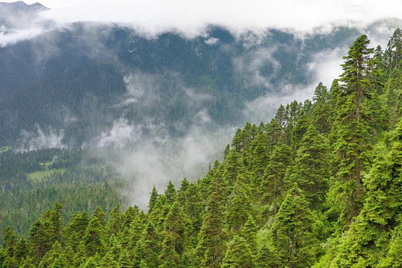 中国唯一不收费的高速公路,中国旅游风景最好的四条高速